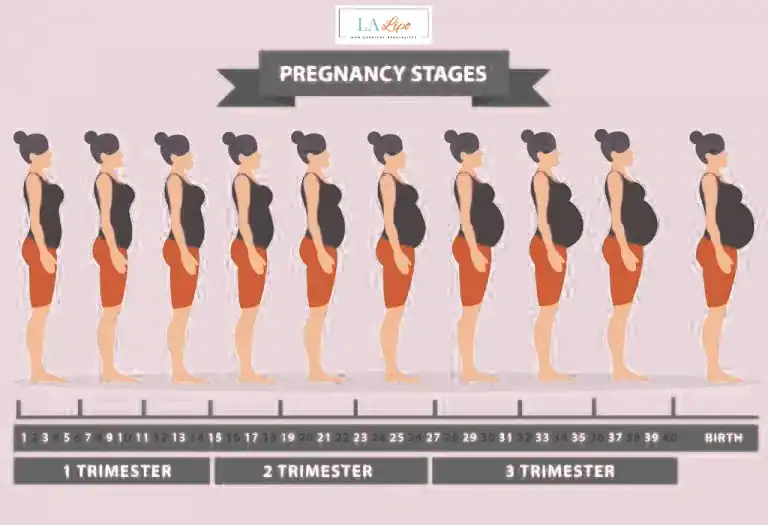 First Trimester (Weeks 1–12): Early Changes You Might Not Notice West Barnes